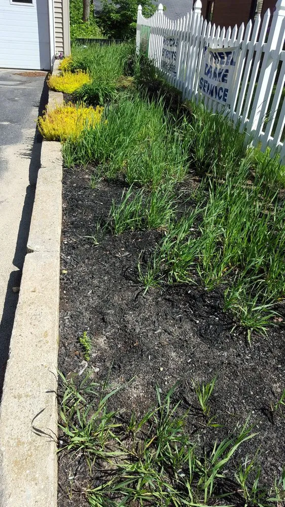 Affordable yard cleanup service in Baldwinville, MA - Grass Clippings Lawn Care