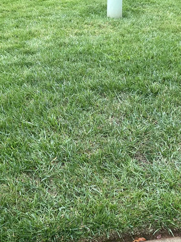 Local landscape design for residential properties across Burlington, NC - Grass Cuts