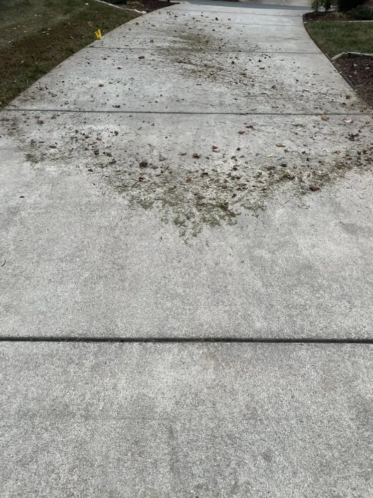 Local yard cleanup service for outdoor upgrades across Burlington, NC - Grass Cuts