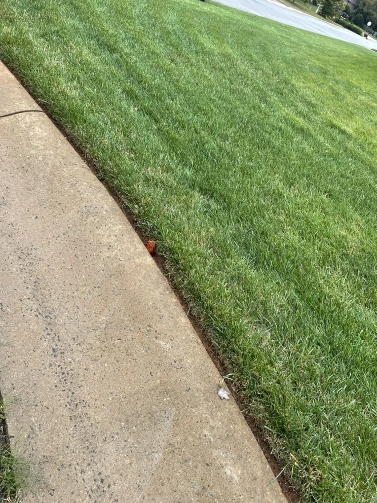 Reliable landscape design experts serving Burlington, NC - Grass Cuts