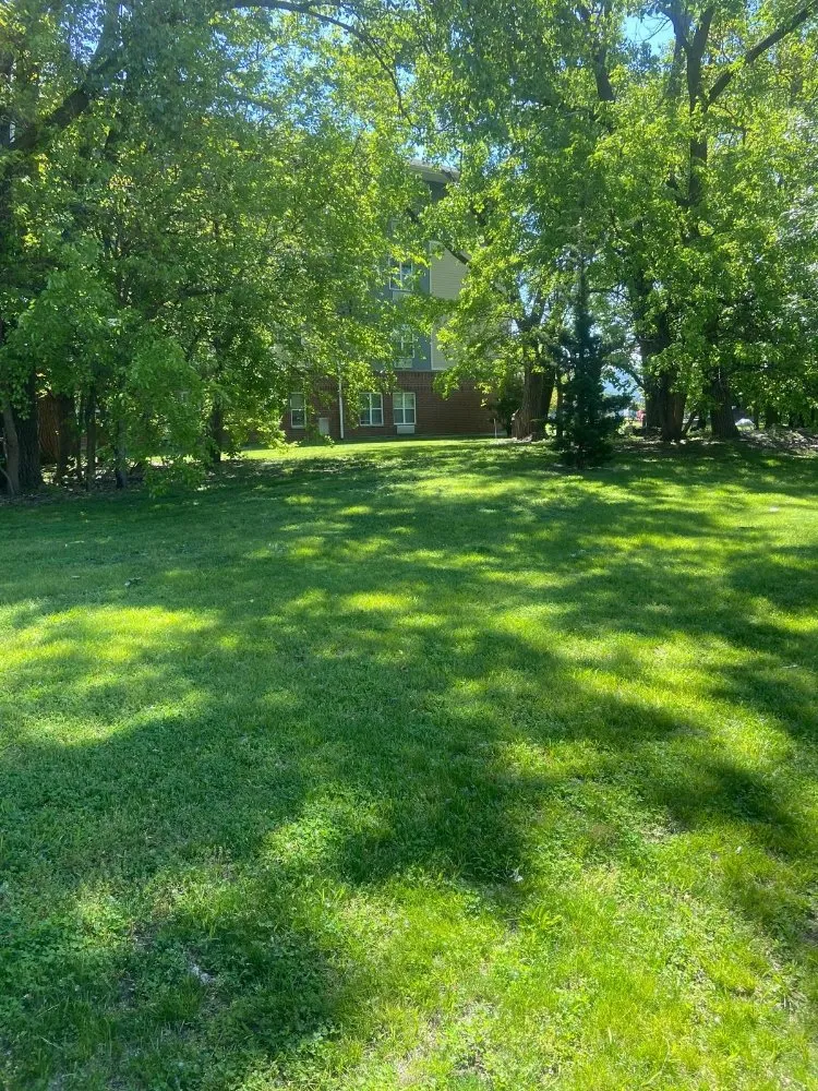 Local yard maintenance in East Chicago, IN - Grass Cuts4