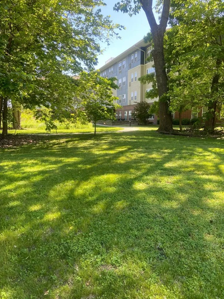 Top-rated garden landscaping for homes across East Chicago, IN - Grass Cuts4