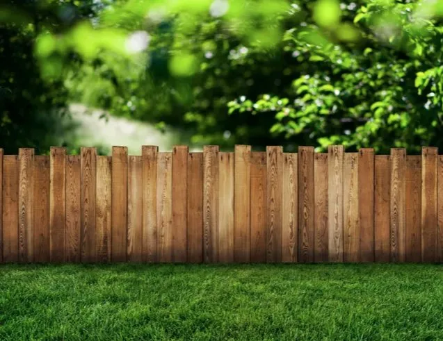 Trusted yard maintenance in Beaumont, TX - Grass Cutters