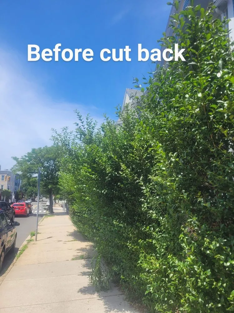 Local landscaping services in Stoneham, MA - Grass Cutters Lawn Care