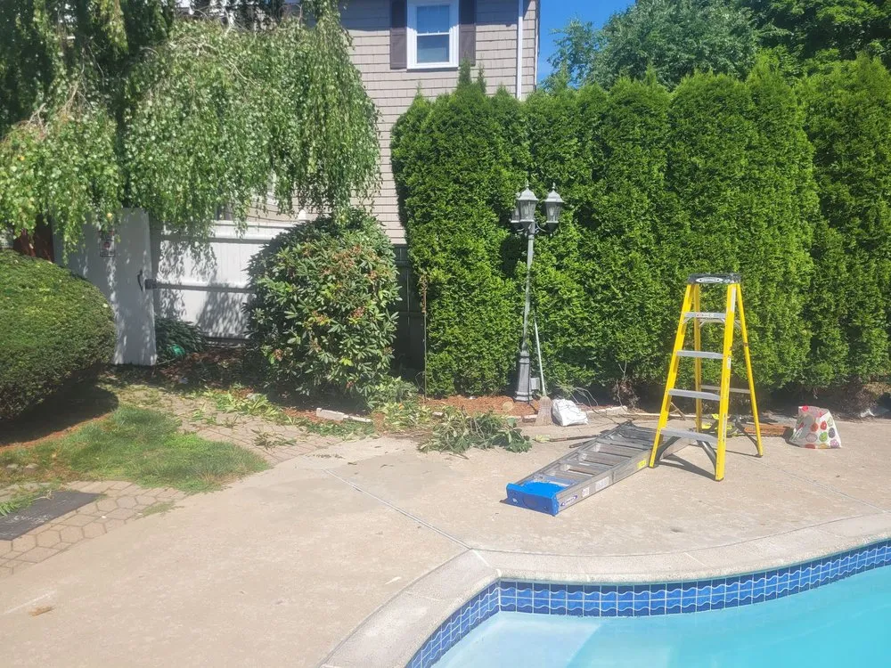 Top-rated lawn mowing service experts serving Stoneham, MA - Grass Cutters Lawn Care