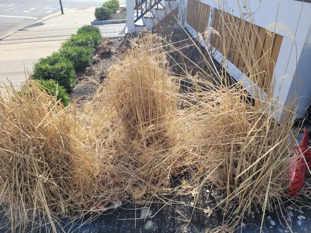 Top-rated yard cleanup service in Stoneham, MA by Grass Cutters Lawn Care