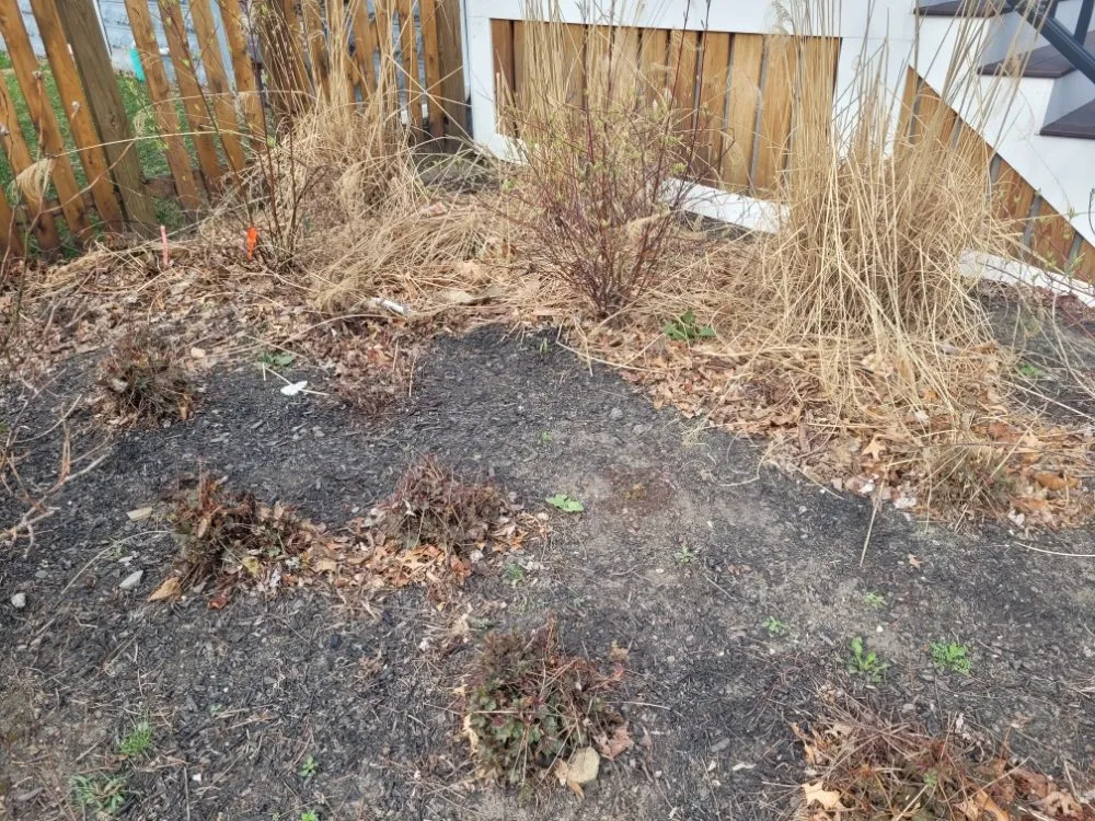 Professional lawn care service in Stoneham, MA - Grass Cutters Lawn Care