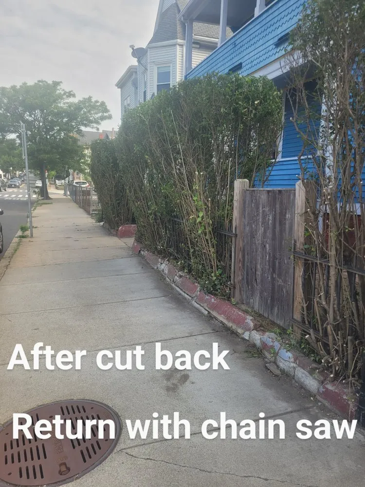 Top-rated landscape design with custom design across Stoneham, MA - Grass Cutters Lawn Care