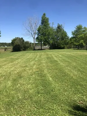 Grass Cutters of Charleston Logo