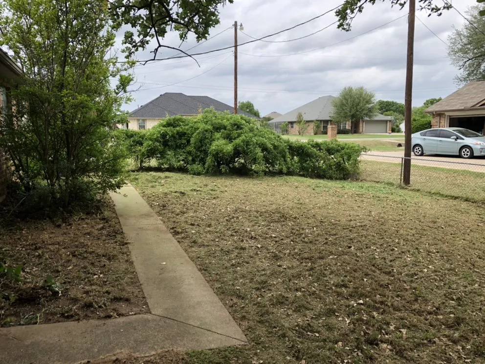 Reliable lawn mowing service in Brazos Bend, TX by Grass Daddy