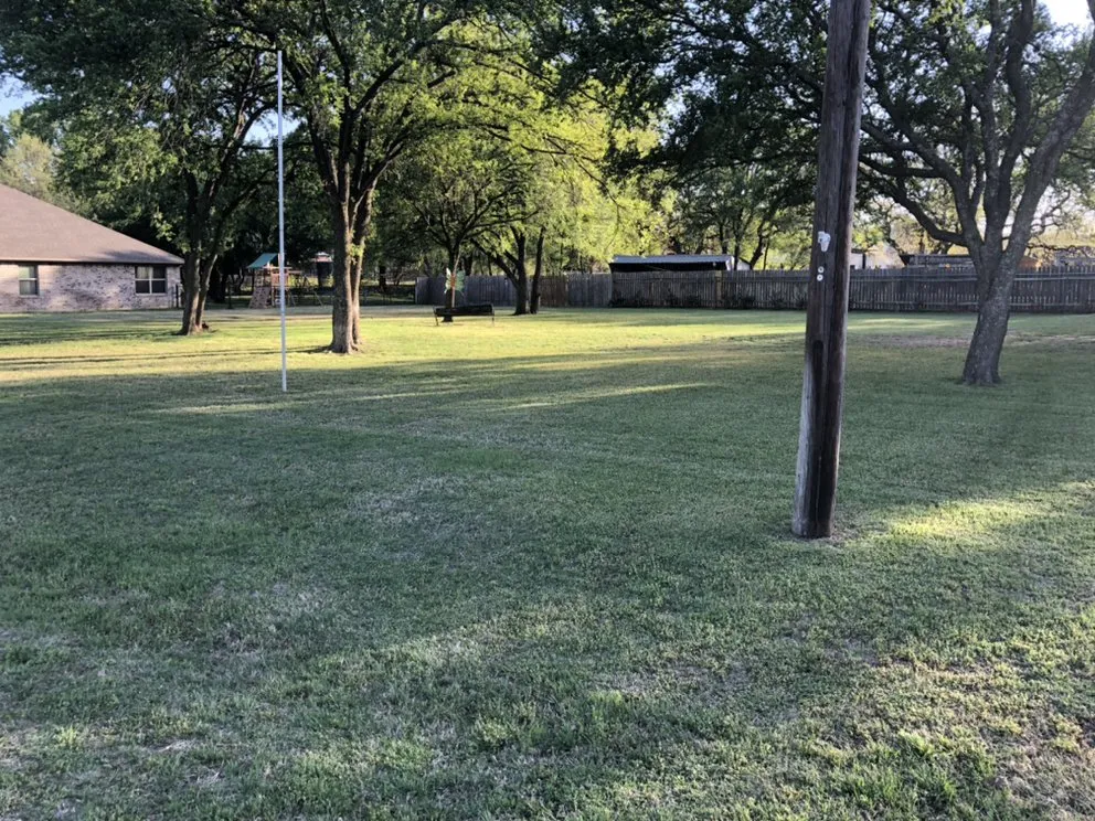 Affordable landscape design in Brazos Bend, TX - Grass Daddy
