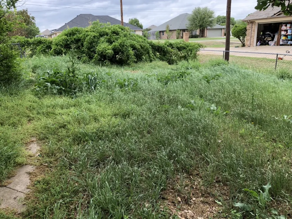Top-rated lawn mowing service in Brazos Bend, TX - Grass Daddy