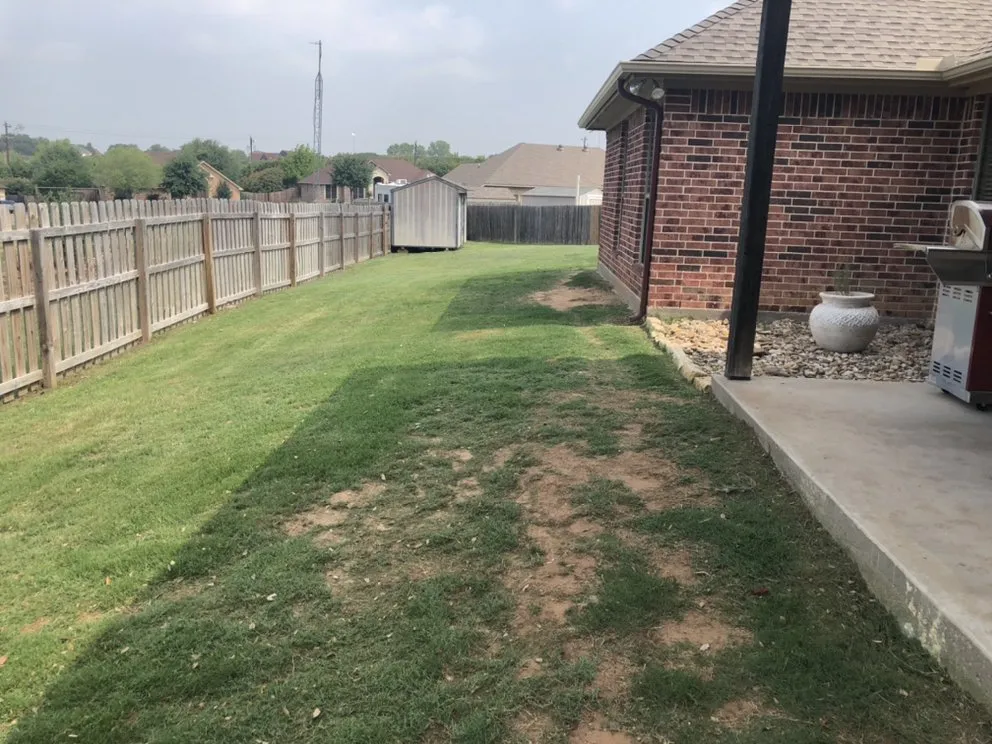 Affordable yard maintenance in Brazos Bend, TX by Grass Daddy