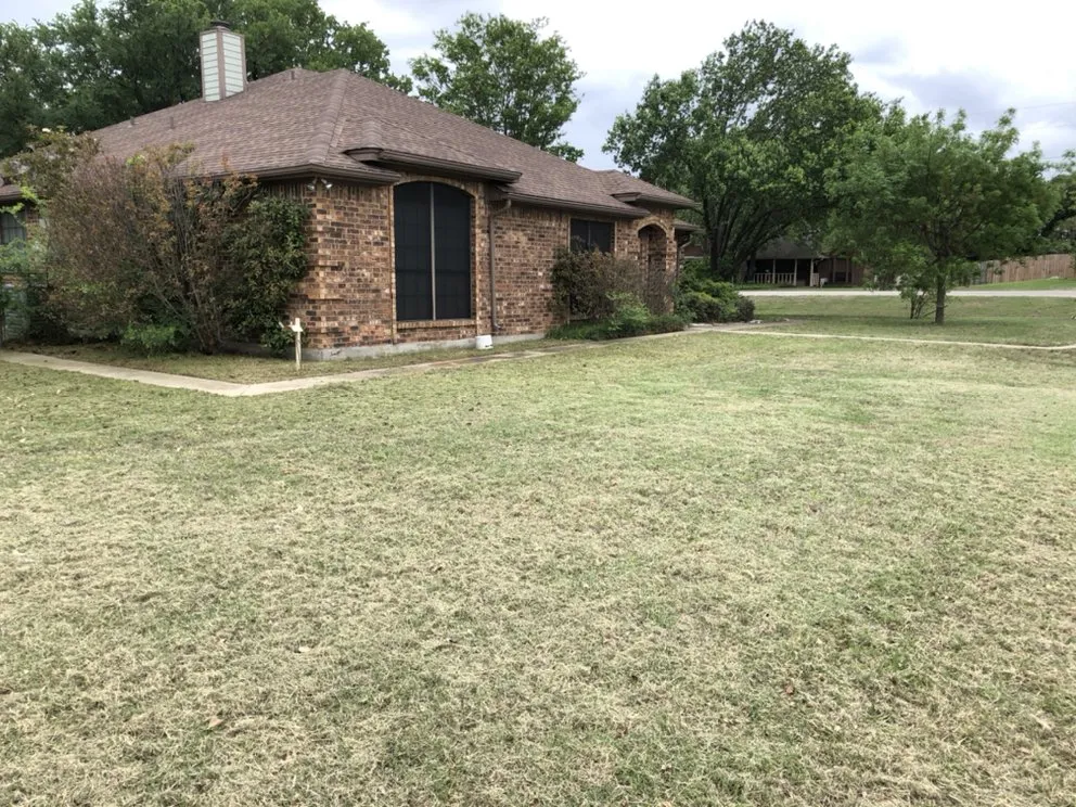 Affordable garden landscaping for residential properties in Brazos Bend, TX by Grass Daddy