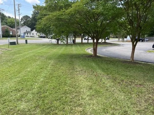 Top-rated landscape installation in Iron station, NC by Grass Daddy’s