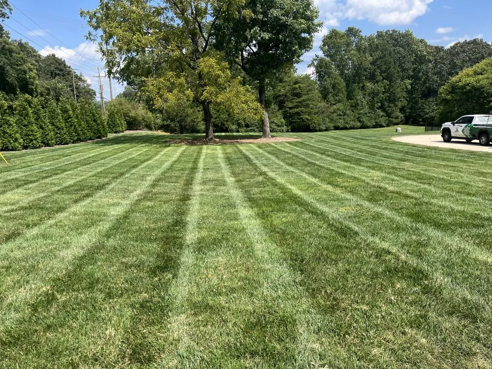 Local landscaping services experts serving Iron station, NC - Grass Daddy’s