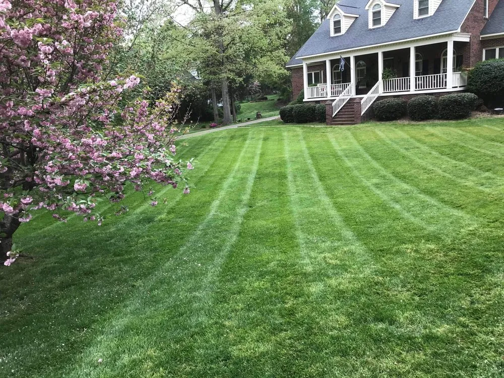 Trusted yard maintenance for homes in Iron station, NC by Grass Daddy’s