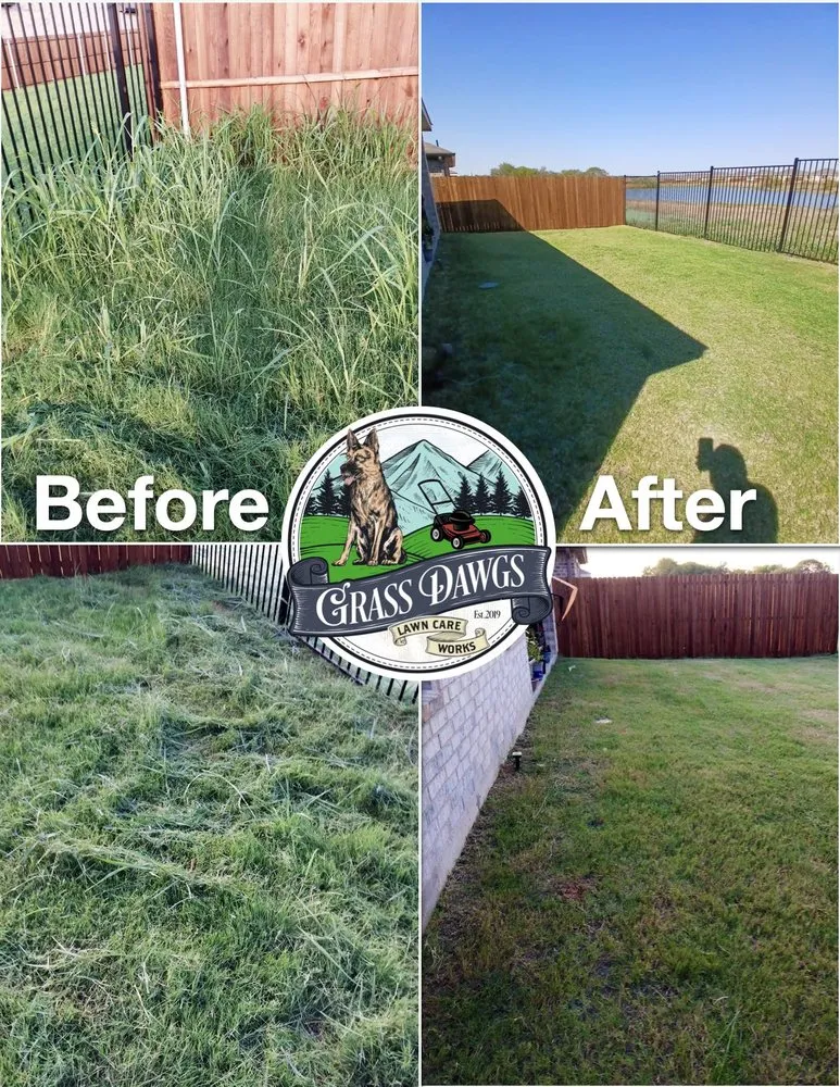 Affordable landscape installation in Seagoville, TX - Grass Dawgz