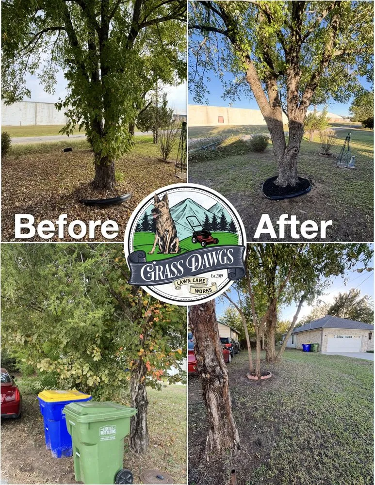 Top-rated yard maintenance experts serving Seagoville, TX - Grass Dawgz