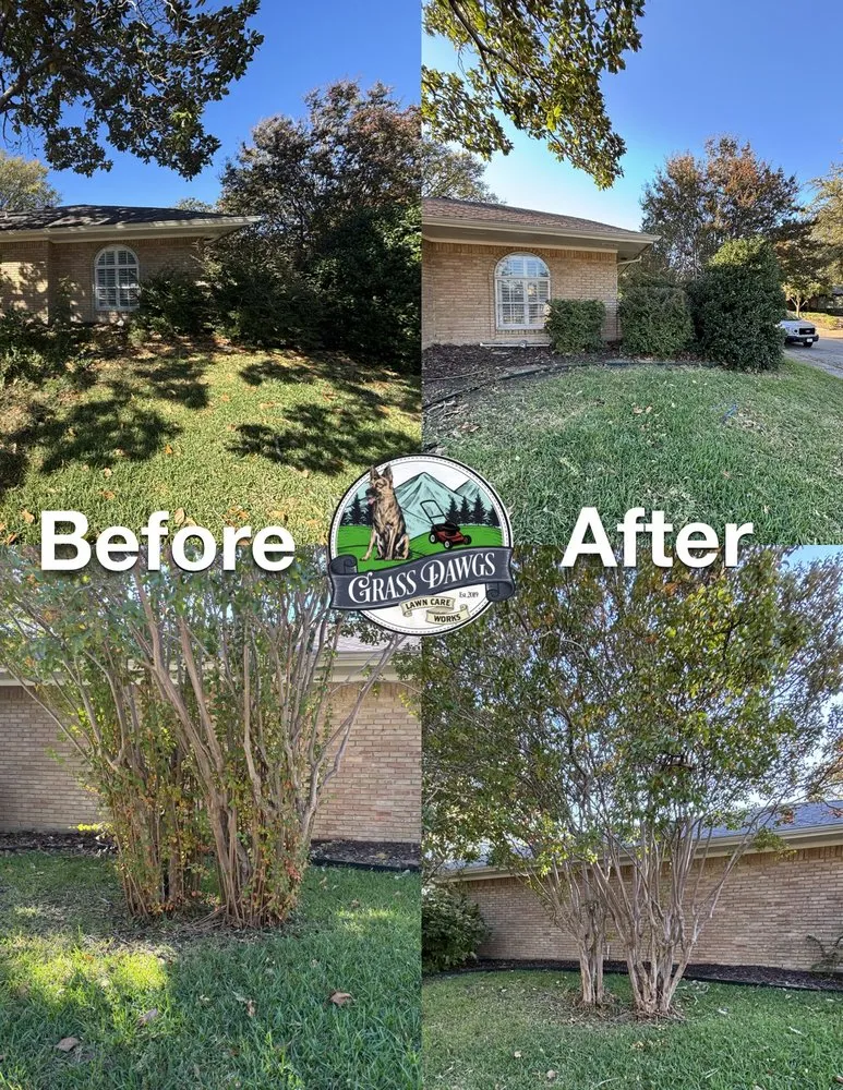 Professional yard cleanup service experts serving Seagoville, TX - Grass Dawgz
