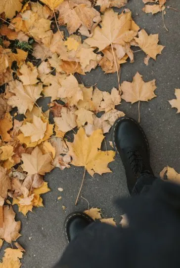 Trusted landscaping services for year-round maintenance across Seagoville, TX - Grass Dawgz