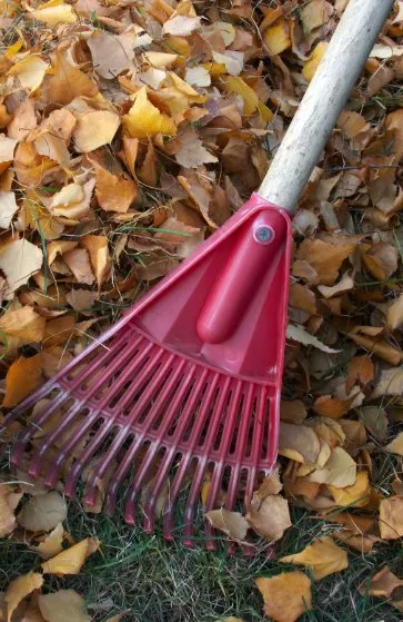 Professional landscape installation in Seagoville, TX - Grass Dawgz