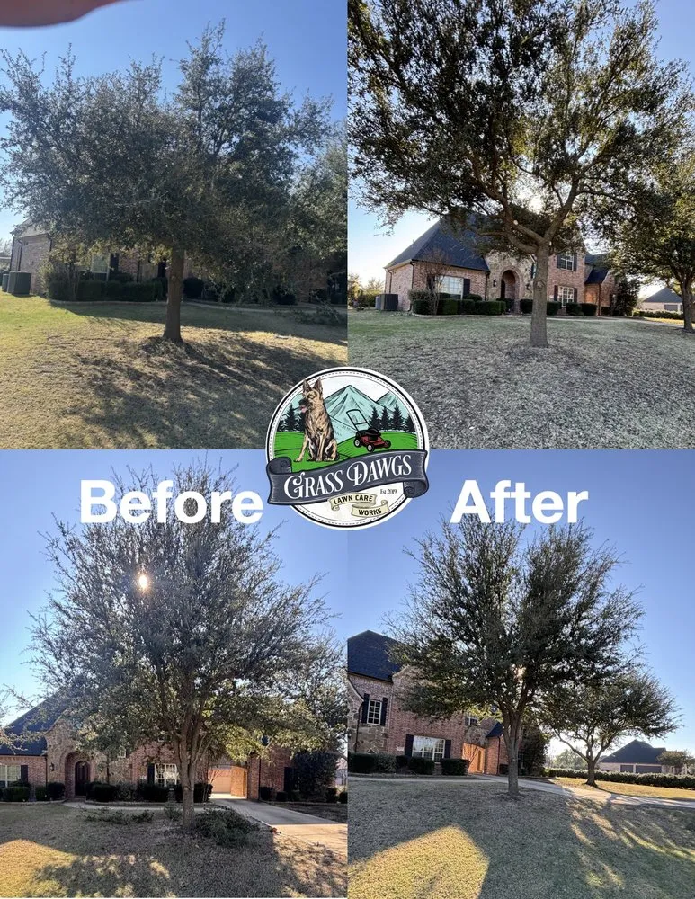 Top-rated landscaping services experts serving Seagoville, TX - Grass Dawgz