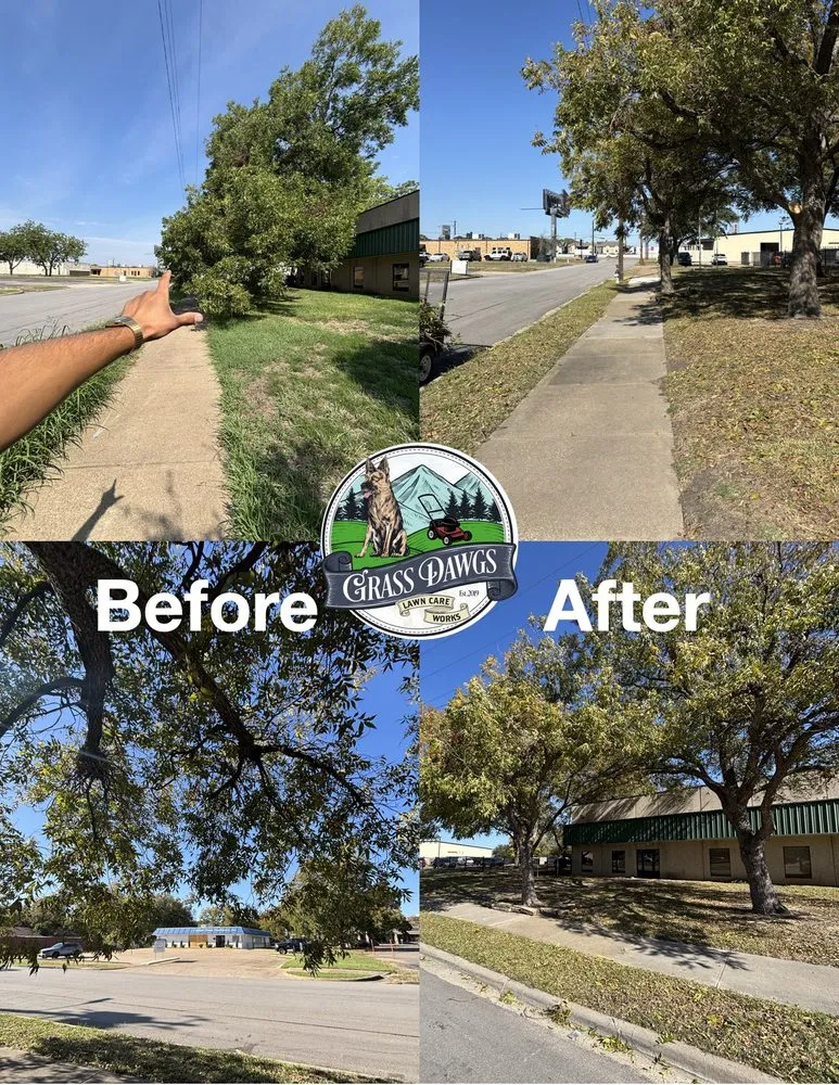 Custom landscaping services in Seagoville, TX - Grass Dawgz