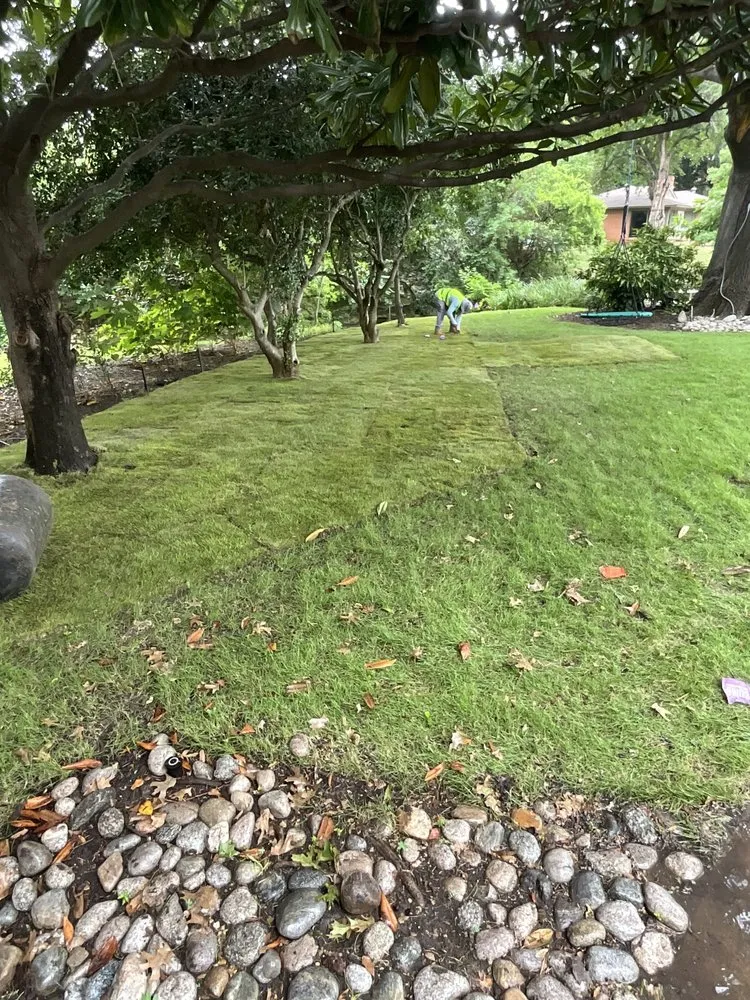 Expert yard maintenance near you across Frisco, TX - Grass DFW