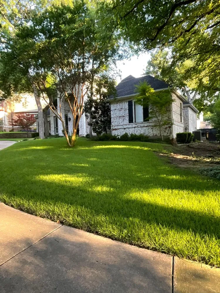 Professional landscaping services in Frisco, TX by Grass DFW