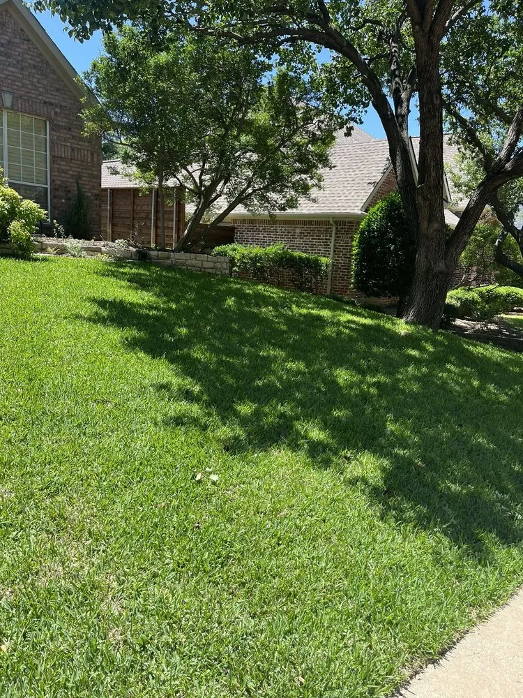 Reliable landscape design with custom design in Frisco, TX by Grass DFW