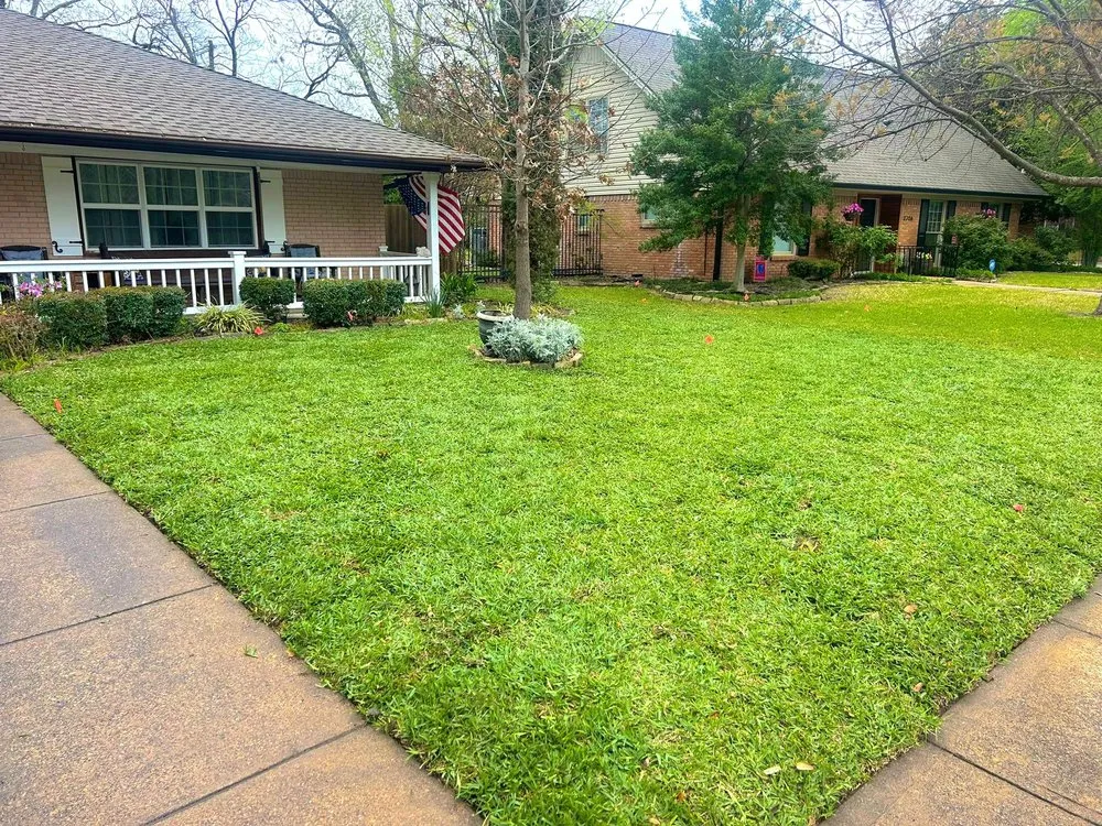 Trusted lawn care service in Frisco, TX - Grass DFW