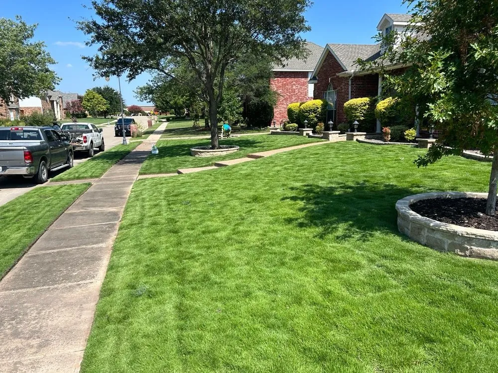 Trusted yard cleanup service in Frisco, TX - Grass DFW
