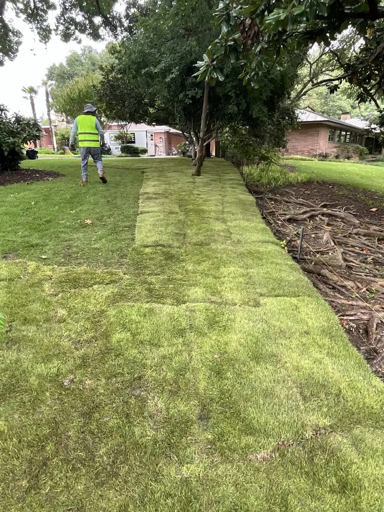 Reliable landscape installation near you in Frisco, TX by Grass DFW