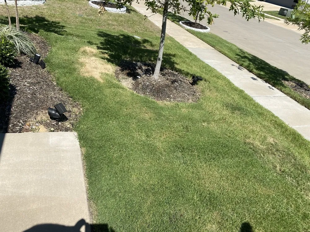 Professional lawn care service in Frisco, TX - Grass DFW