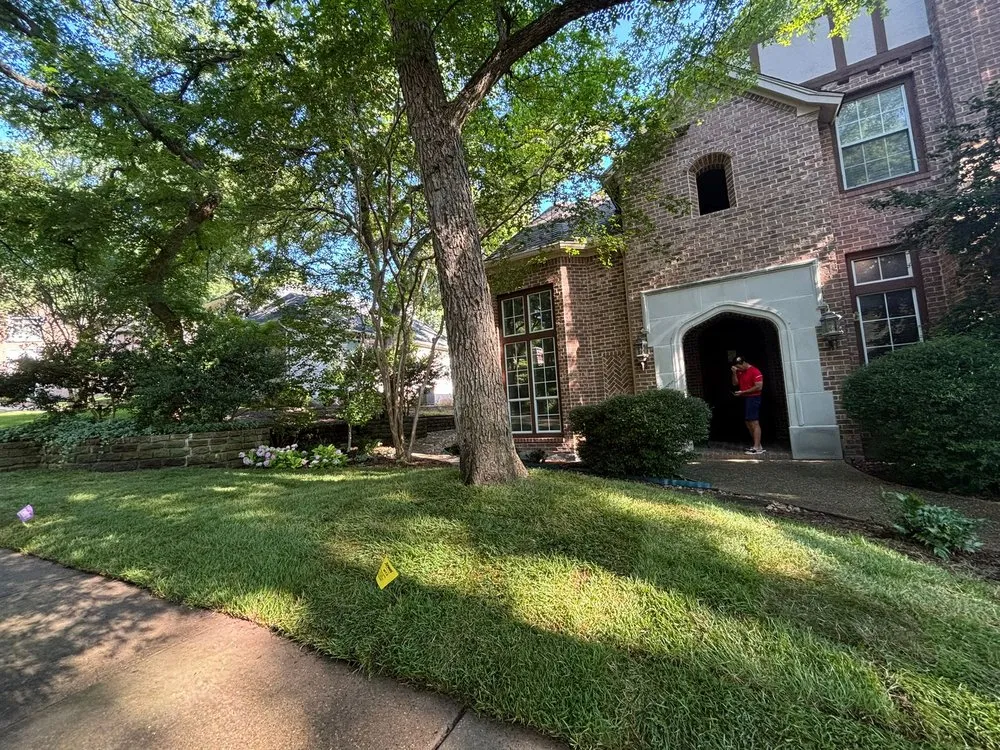 Professional lawn mowing service in Frisco, TX - Grass DFW