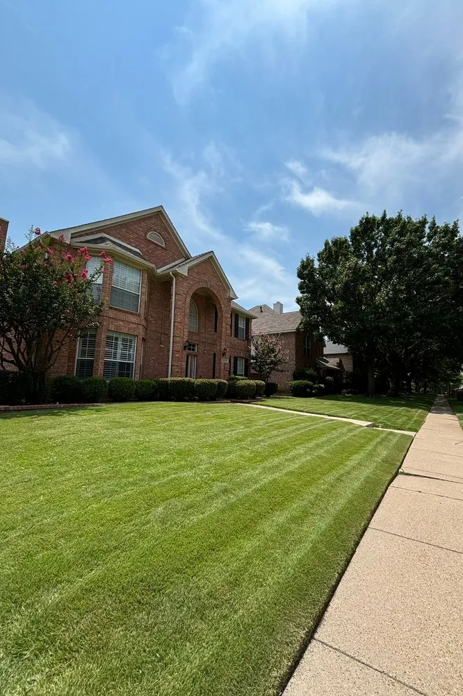 Affordable lawn care service experts serving Frisco, TX - Grass DFW