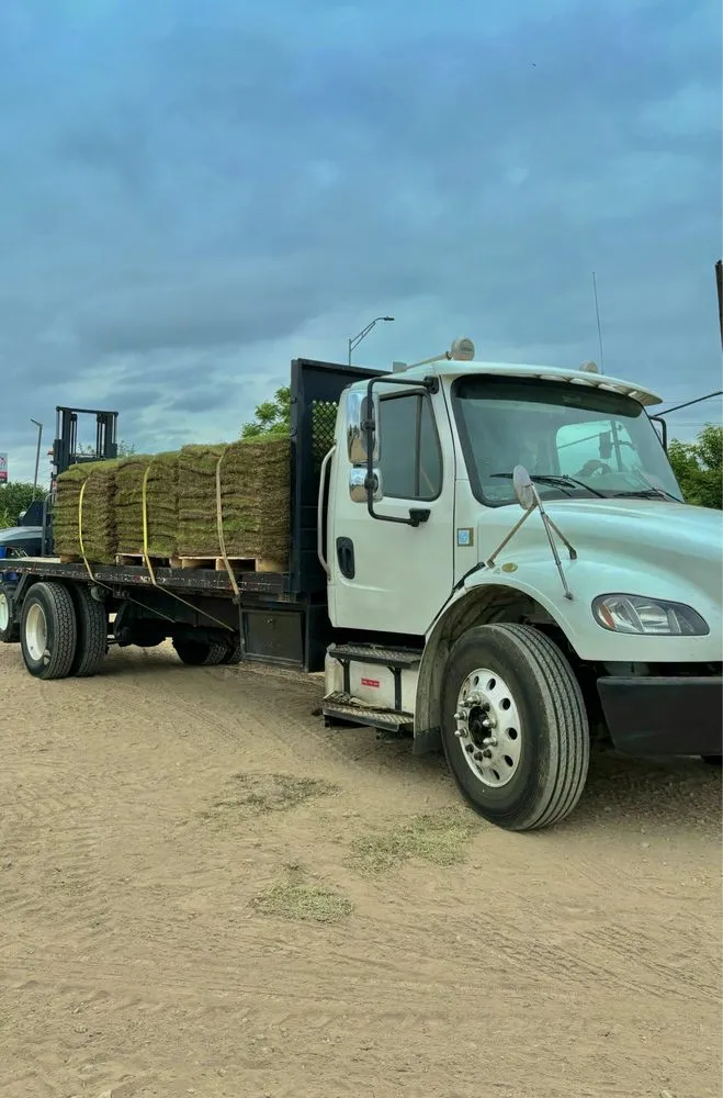 Reliable landscape installation for homes in Frisco, TX by Grass DFW