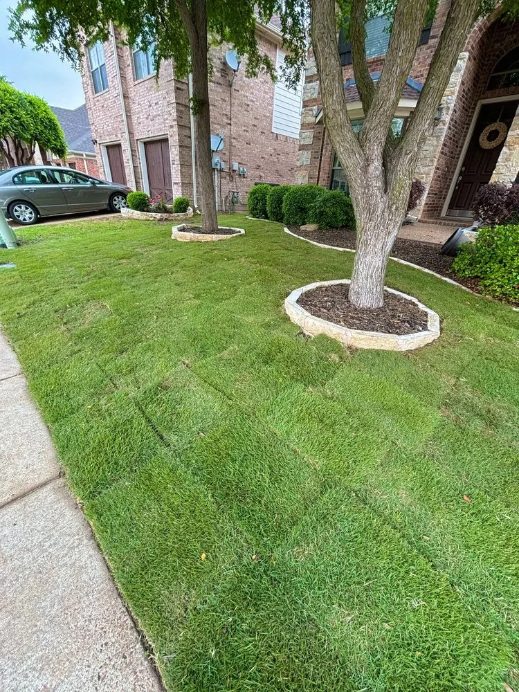 Custom garden landscaping in Frisco, TX by Grass DFW