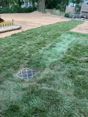 Grass Dirt & HandyWork