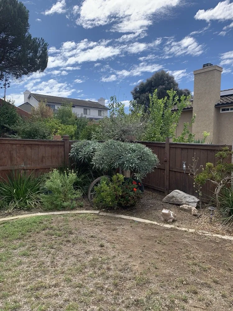 Affordable lawn care service for beautiful yards across Spring Valley, CA - Grass Doctor Landscape