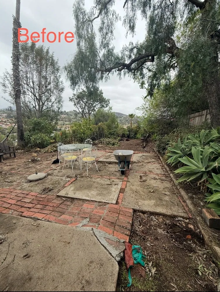 Professional lawn care service in Spring Valley, CA - Grass Doctor Landscape