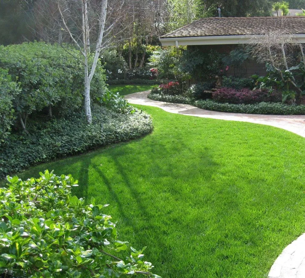 Top-rated landscape installation experts serving Spring Valley, CA - Grass Doctor Landscape