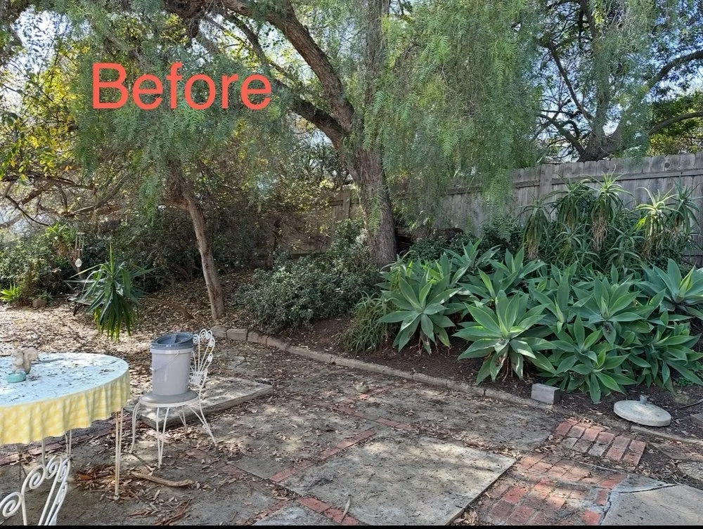 Affordable yard cleanup service in Spring Valley, CA by Grass Doctor Landscape
