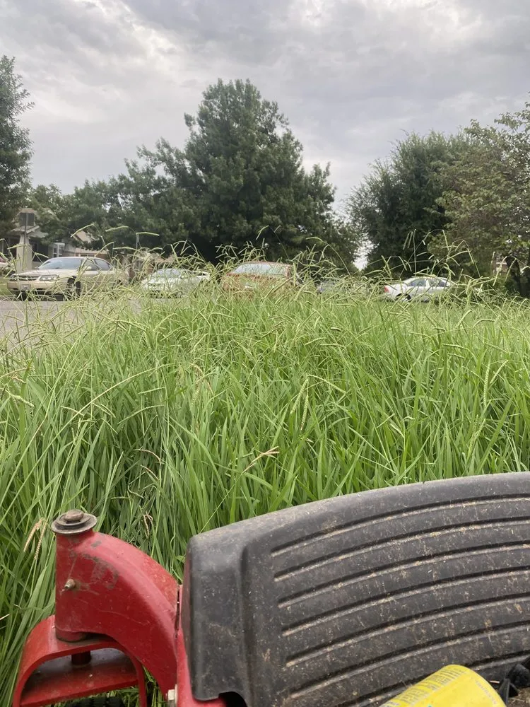 Trusted residential landscaping experts serving Oklahoma City, OK - Grass Doctor