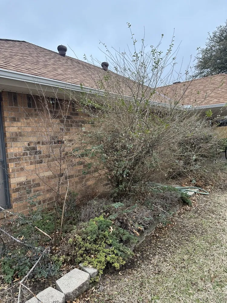 Top-rated yard cleanup service near you across Oklahoma City, OK - Grass Doctor