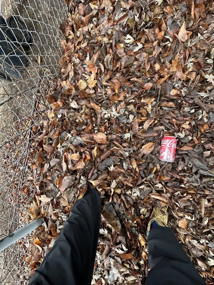 Top-rated residential landscaping for outdoor upgrades in Oklahoma City, OK by Grass Doctor