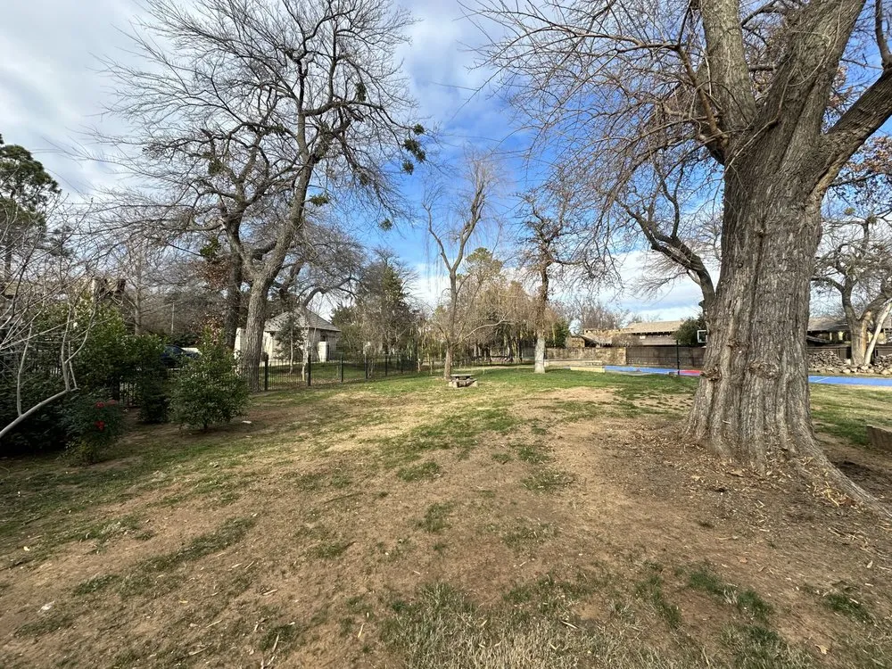 Professional lawn care service for homes in Oklahoma City, OK by Grass Doctor