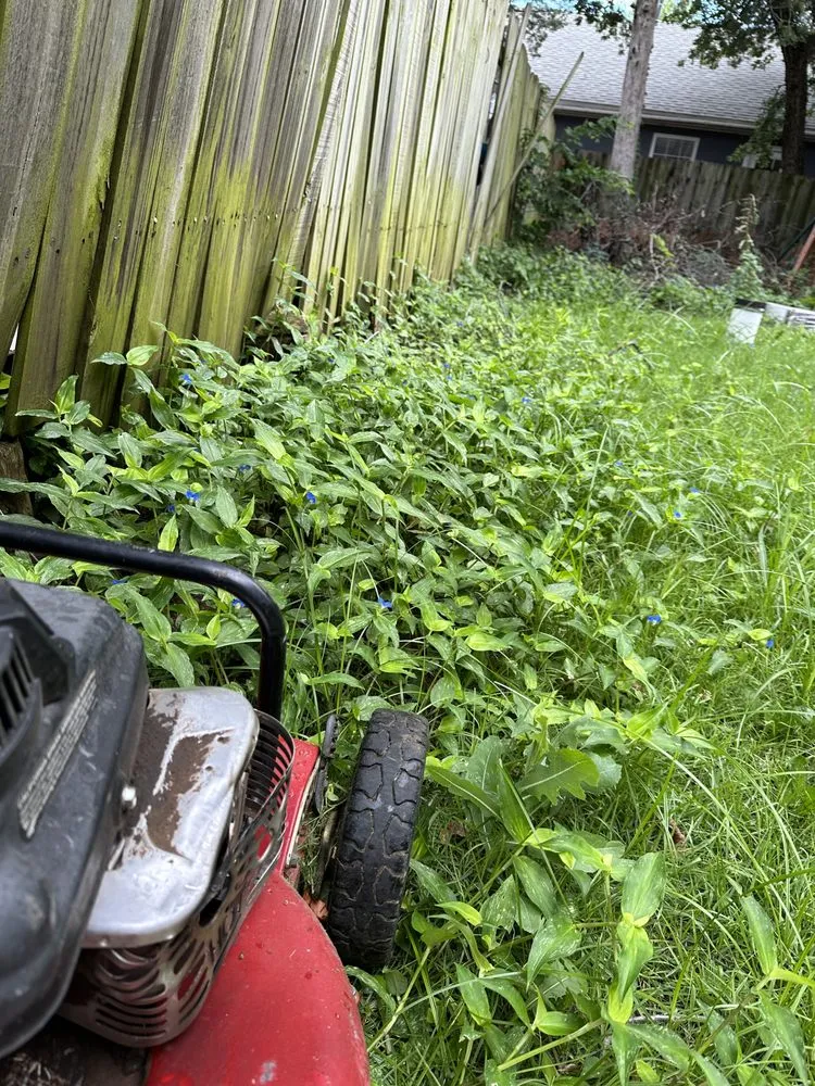 Expert lawn care service experts serving Oklahoma City, OK - Grass Doctor