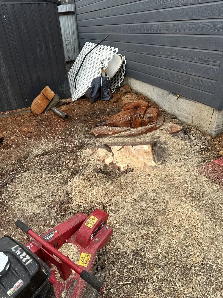 Trusted outdoor landscaping in Oklahoma City, OK - Grass Doctor